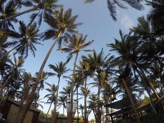 Restaurante da Praia